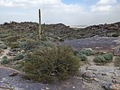 2023-02-22 :1: Hidden Valley via Guadalupe Ridge :: pseudalpine