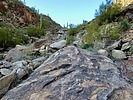 photo thumbnail #9