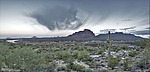 photo thumbnail #5