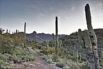 photo thumbnail #5