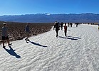 photo thumbnail #14
