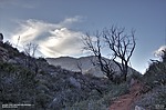 photo thumbnail #1