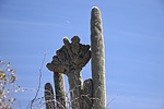 photo thumbnail #7