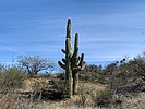 photo thumbnail #5
