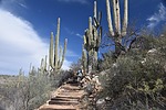 photo thumbnail #4