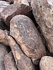 photo thumbnail #11