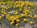 photo thumbnail #13