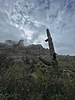 photo thumbnail #14