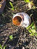 photo thumbnail #13