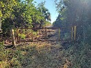 photo thumbnail #9