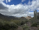 2023-02-24 :1: Peralta/Dutchman/Whiskey loop :: xsproutx