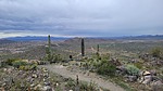 photo thumbnail #6