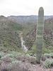 photo thumbnail #8