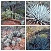 2023-02-09 :1: Sub - Chick Point - High Hog -Twin Buttes :: tibber