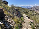 photo thumbnail #3
