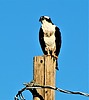 2023-03-03 :2: Chaparral Park - Scottsdale :: rrshort