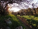 photo thumbnail #13