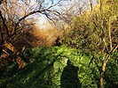 photo thumbnail #14
