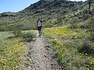 photo thumbnail #4
