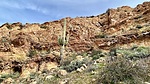 photo thumbnail #14