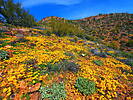 photo thumbnail #13