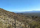 photo thumbnail #3
