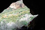 photo thumbnail #8