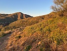 photo thumbnail #8