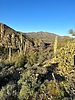 photo thumbnail #12