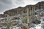 photo thumbnail #7