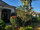 photo thumbnail #8