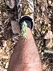 photo thumbnail #9