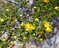 2023-03-08 :2: Piestewa Peak Summit Trail #300 :: joebartels