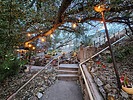 photo thumbnail #9