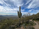 photo thumbnail #1