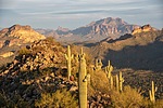 photo thumbnail #12