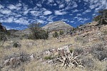 photo thumbnail #8