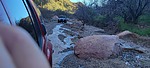 photo thumbnail #1