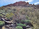 2023-03-08 :2: Sugarloaf Mountain - Maricopa :: DixieFlyer