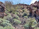 2023-03-08 :2: Sugarloaf Mountain - Maricopa :: DixieFlyer