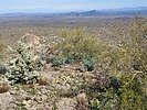 2023-03-08 :2: Sugarloaf Mountain - Maricopa :: DixieFlyer