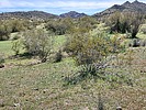 2023-03-08 :2: Sugarloaf Mountain - Maricopa :: DixieFlyer