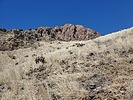 photo thumbnail #10