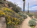 photo thumbnail #4