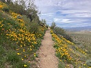 photo thumbnail #5