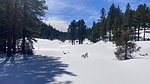 photo thumbnail #4