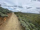 photo thumbnail #9