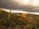 photo thumbnail #7