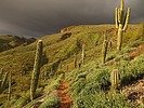 photo thumbnail #9