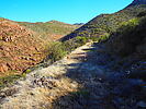 photo thumbnail #5